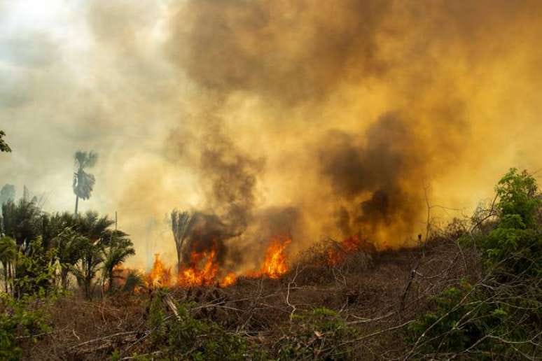 Focos de queimadas na Amazônia estão em alta e preocupam ambientalistas