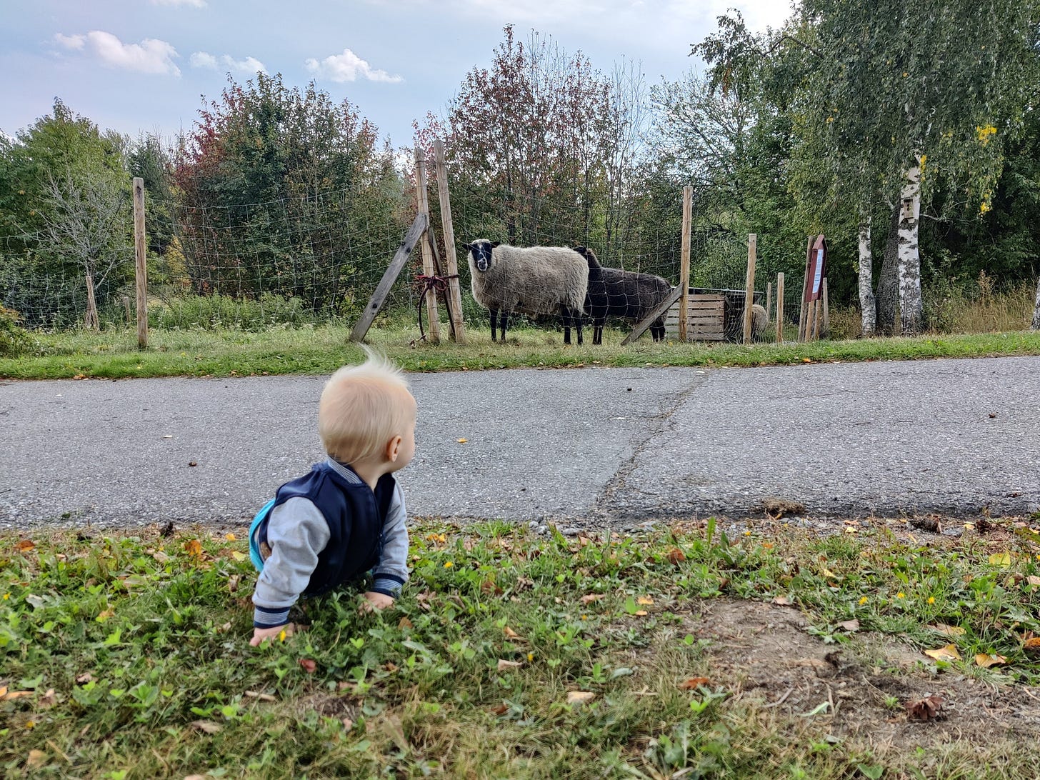 Eväsretki lasten kanssa sai minut nauttimaan opintovapaan mahdollistamasta leppoisesta arjesta.