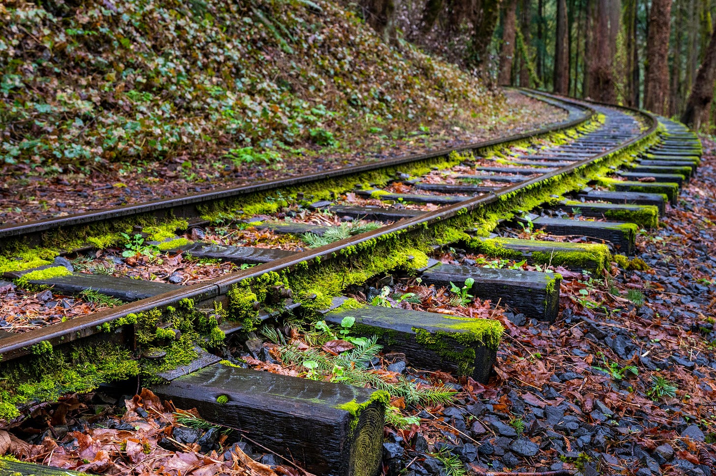 Moss-covered tracks