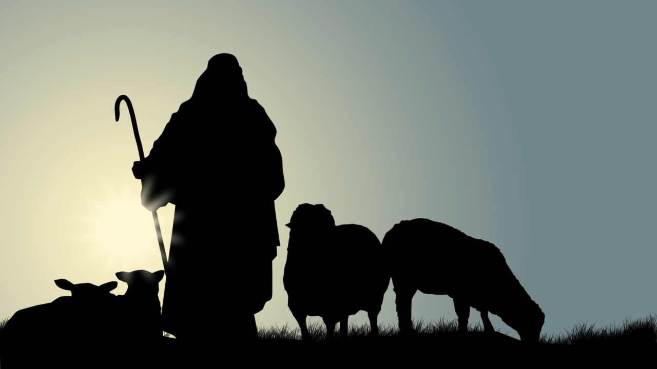 A shepherd watching over his sheep. 