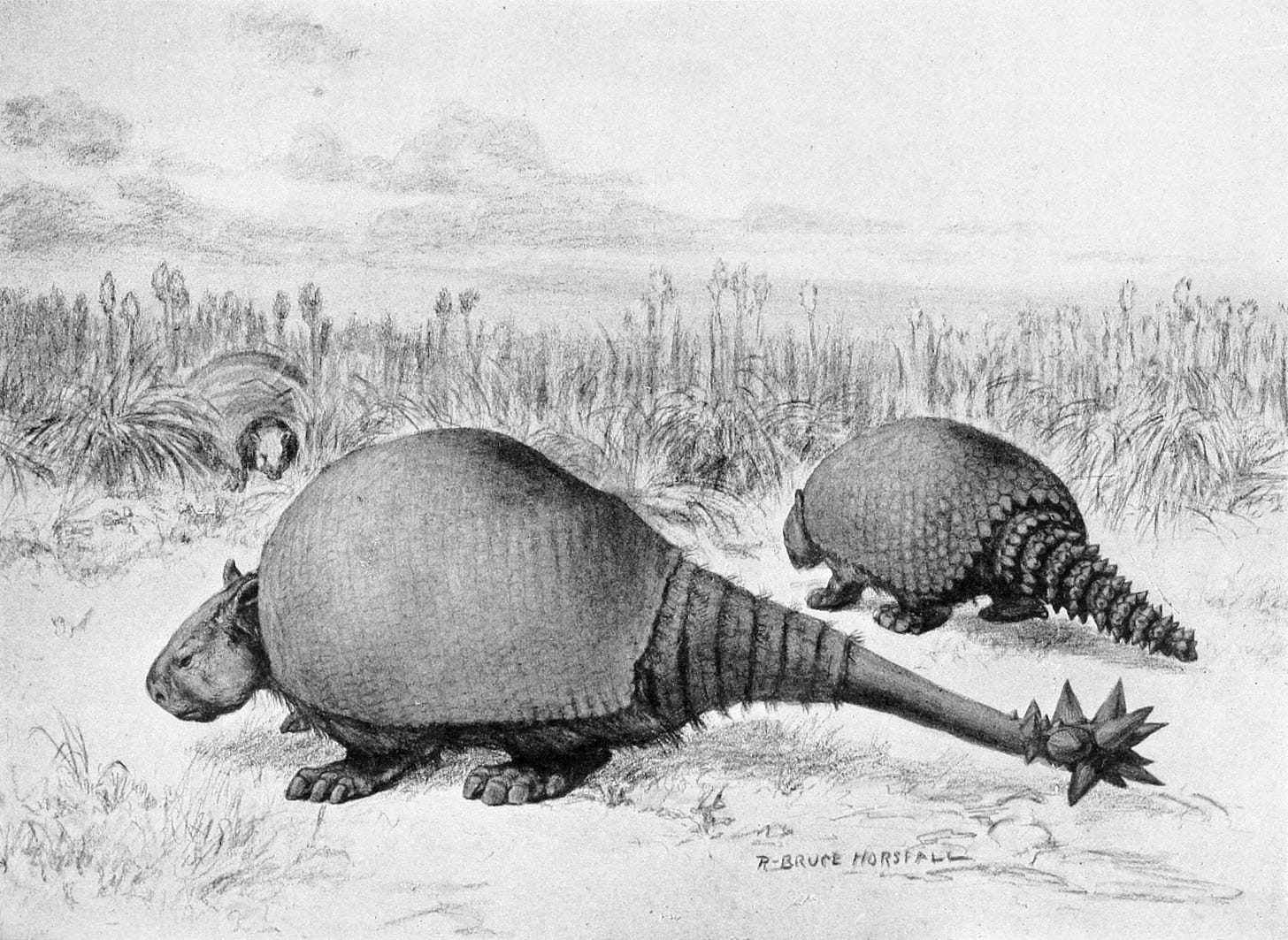 1913 reconstruction of Doedicurus and Glyptodon by Robert Bruce Horsfall