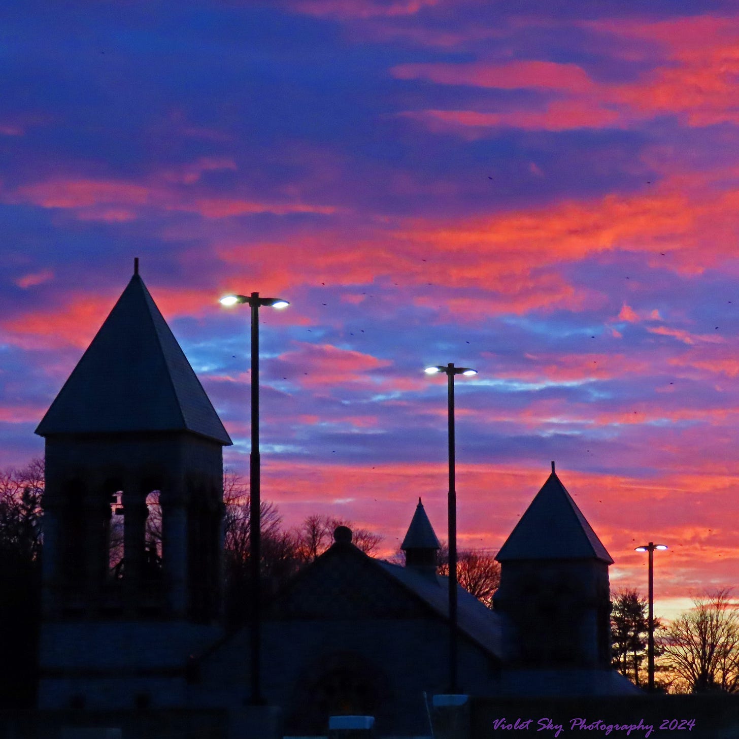 May be an image of bell tower and twilight