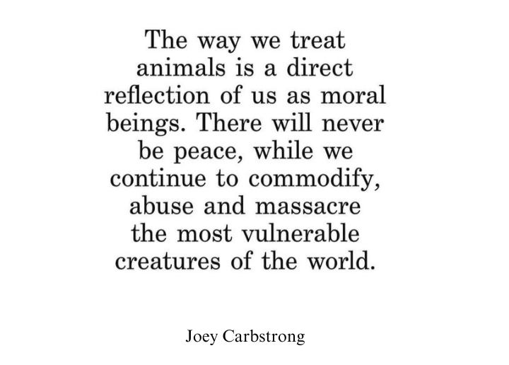 This quote perfectly captures the ethical foundation of veganism. Our treatment of animals reflects our moral values. A just world cannot exist while we continue exploiting and killing the most vulnerable. True peace begins with compassion for all beings.