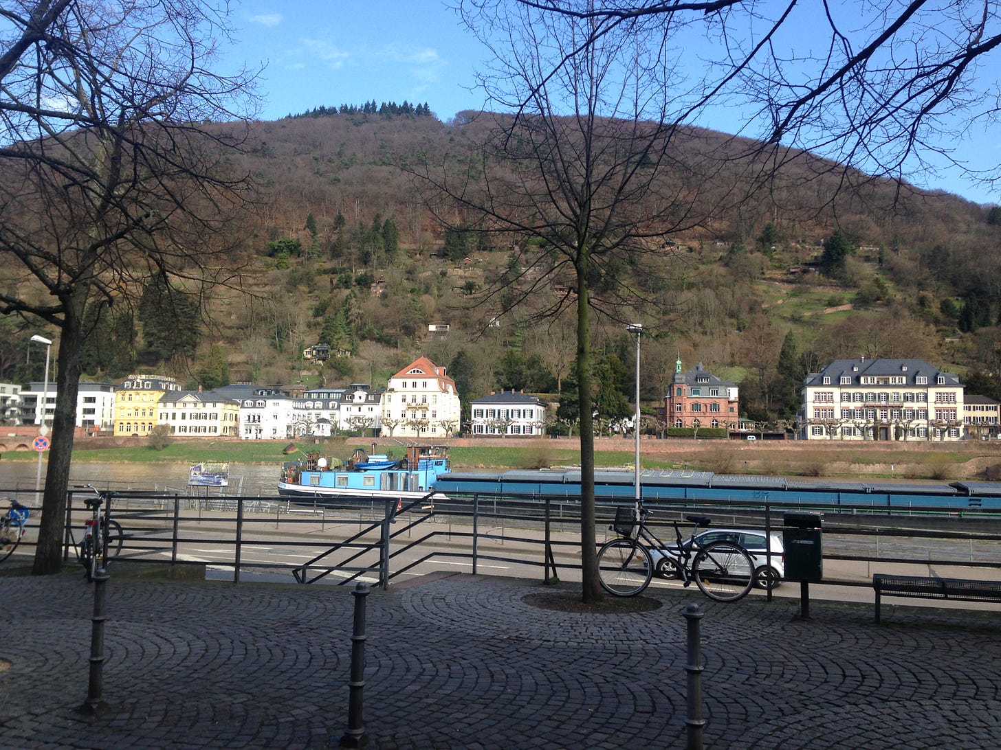 The river Neckar in Heidelberg, Germany