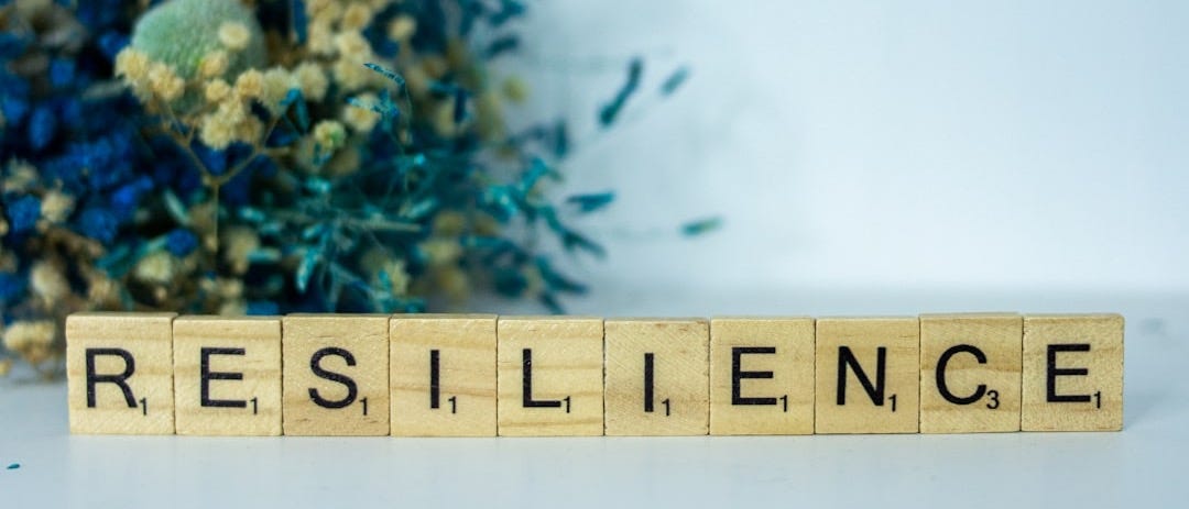 a scrabble type block spelling the word resilince a scrabble type block spelling the word resilince
