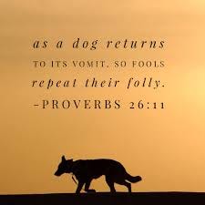 Matthew Ruttan - If you're in a hole, quit digging The "Up!" Devo for October 4 Proverbs 26:11 says: “As a dog returns to its vomit, so fools repeat their folly.” In Matthew Ruttan - If you're in a hole, quit digging The "Up!" Devo for October 4 Proverbs 26:11 says: “As a dog returns to its vomit, so fools repeat their folly.” In