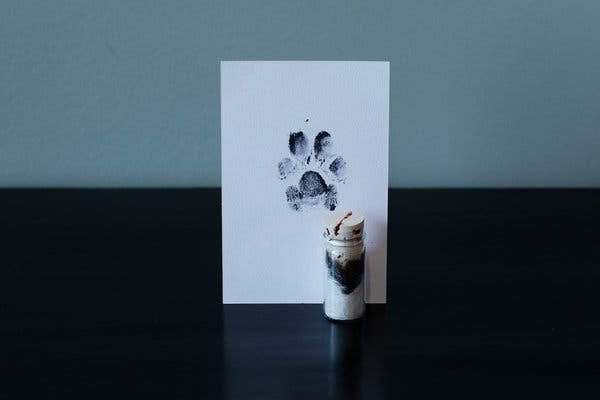 A stamp of a paw print on a piece of white paper next to a small container of ashes