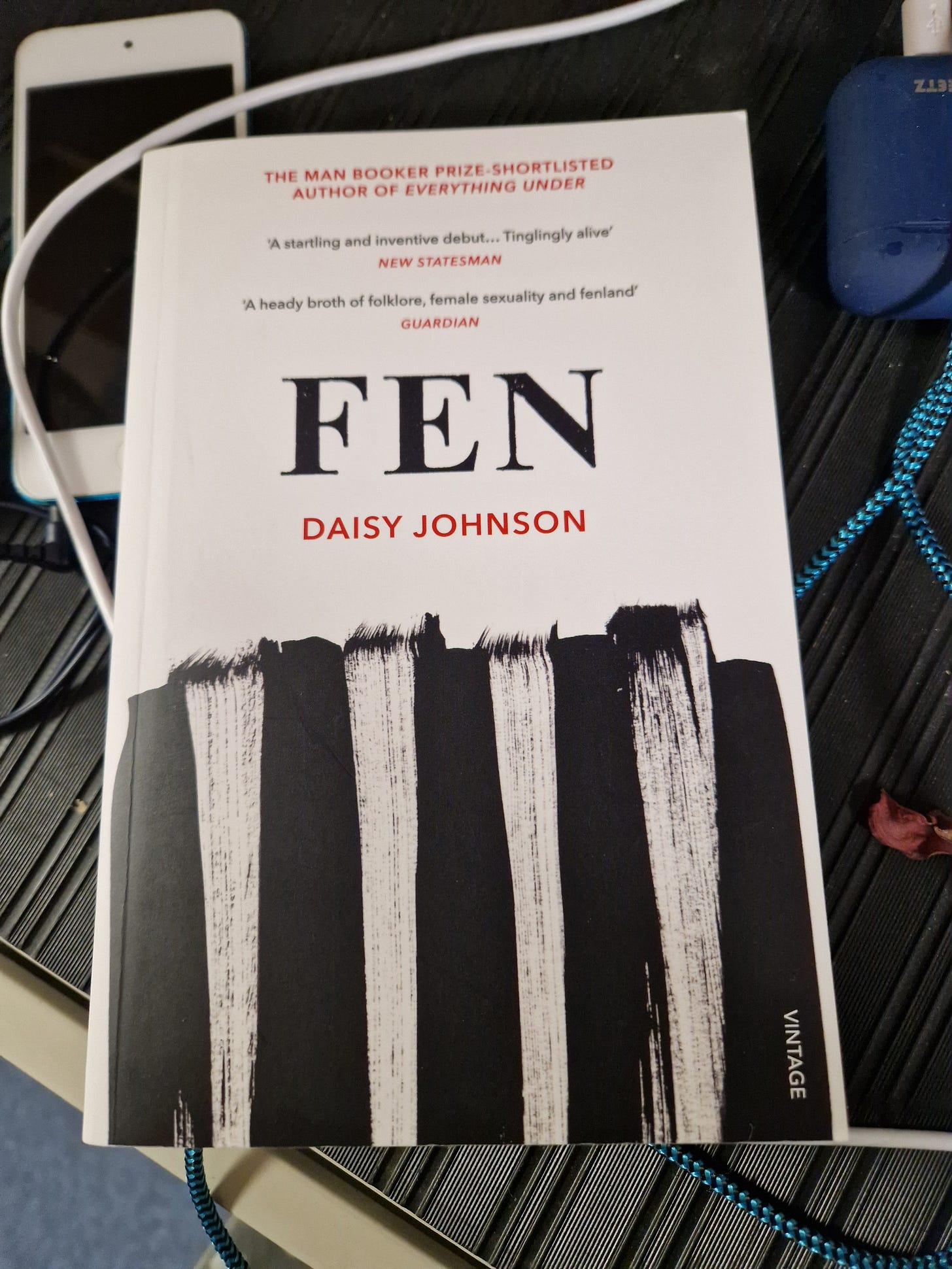 The front cover of 'Fen' by Daisy Johnson