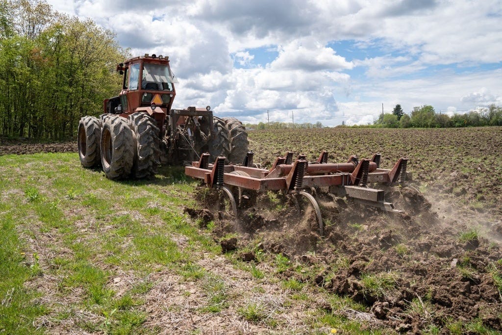 The World Bank’s Recipe for Globalist Food Control