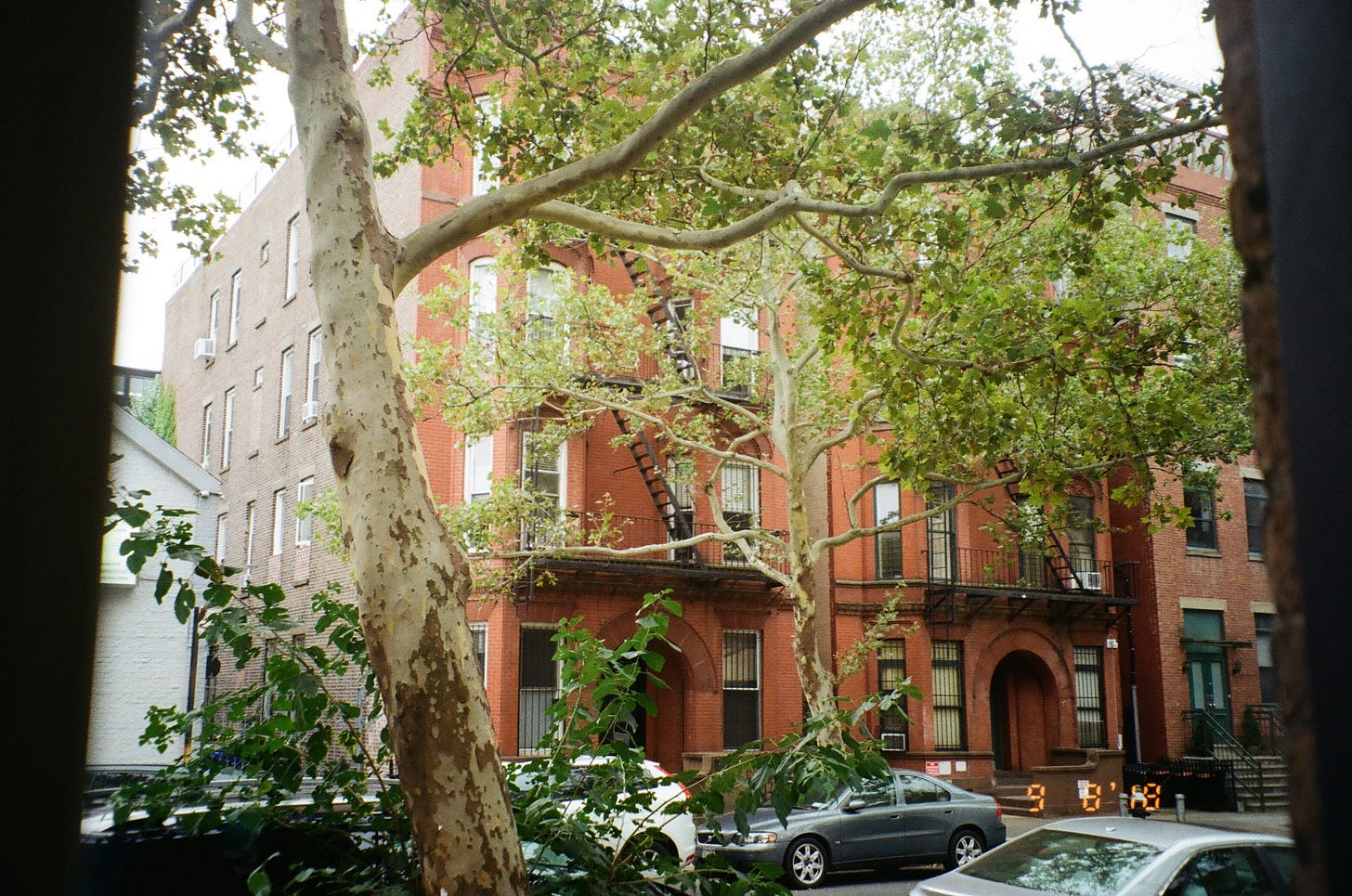 Film photography of New York City top free things to do in NYC by food and travel writer Courtney Jill Bishop. 