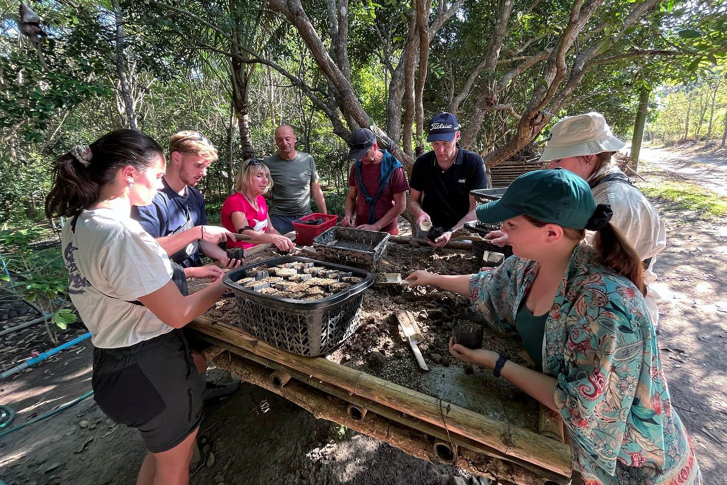Helping to replant forests on the outskirts of Pai, Thailand.