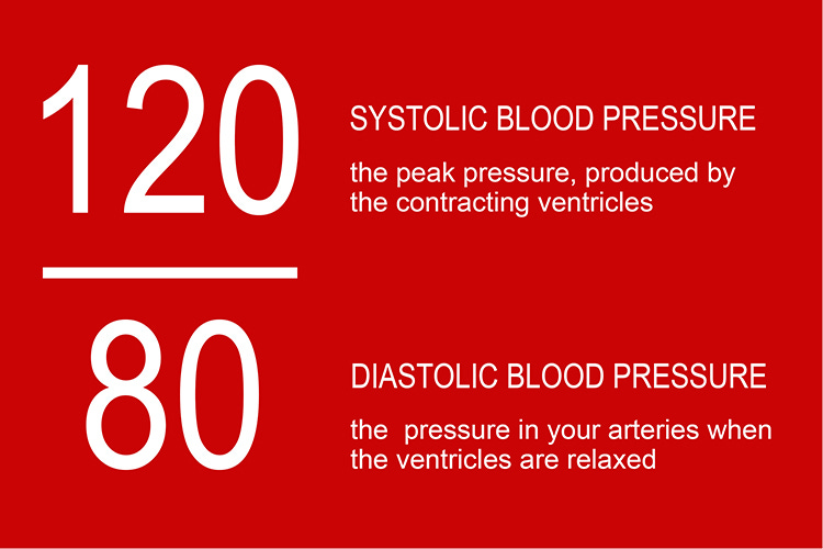 Systolic and Diastolic blood pressure ratio diagram