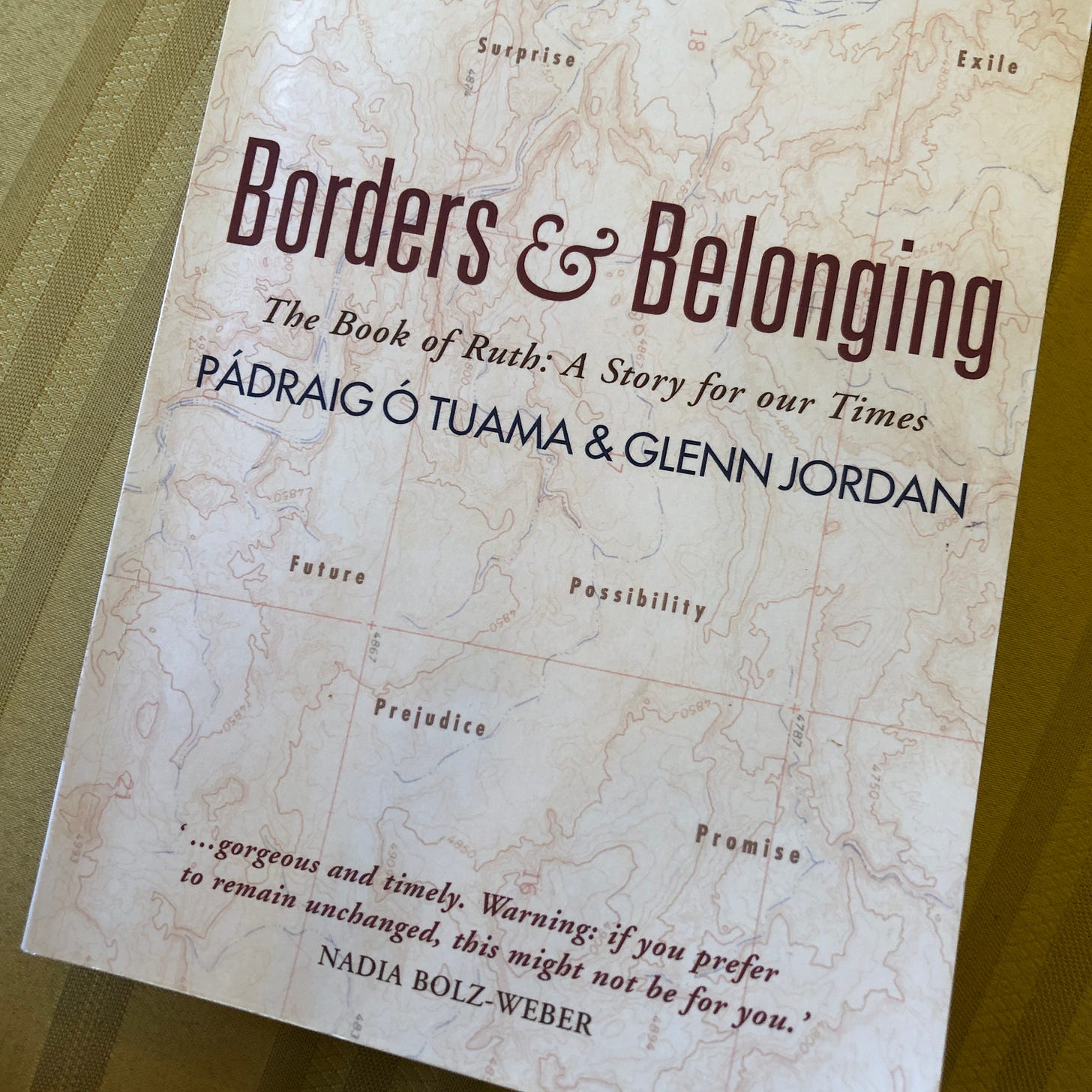 Cover of book “Borders & Belonging”