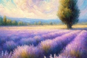 field of lavendar