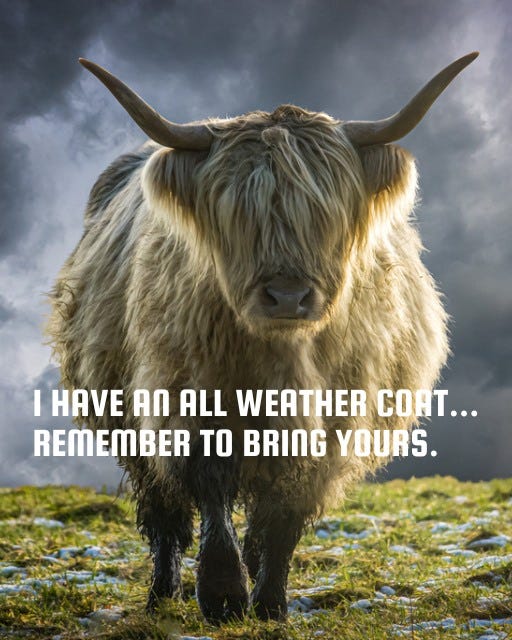May be an image of text that says "I HAVE AN ALL WEATHER COAT... REMEMBER TO BRING YOURS."