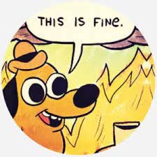 This is fine Meme | Meaning & History | Dictionary.com