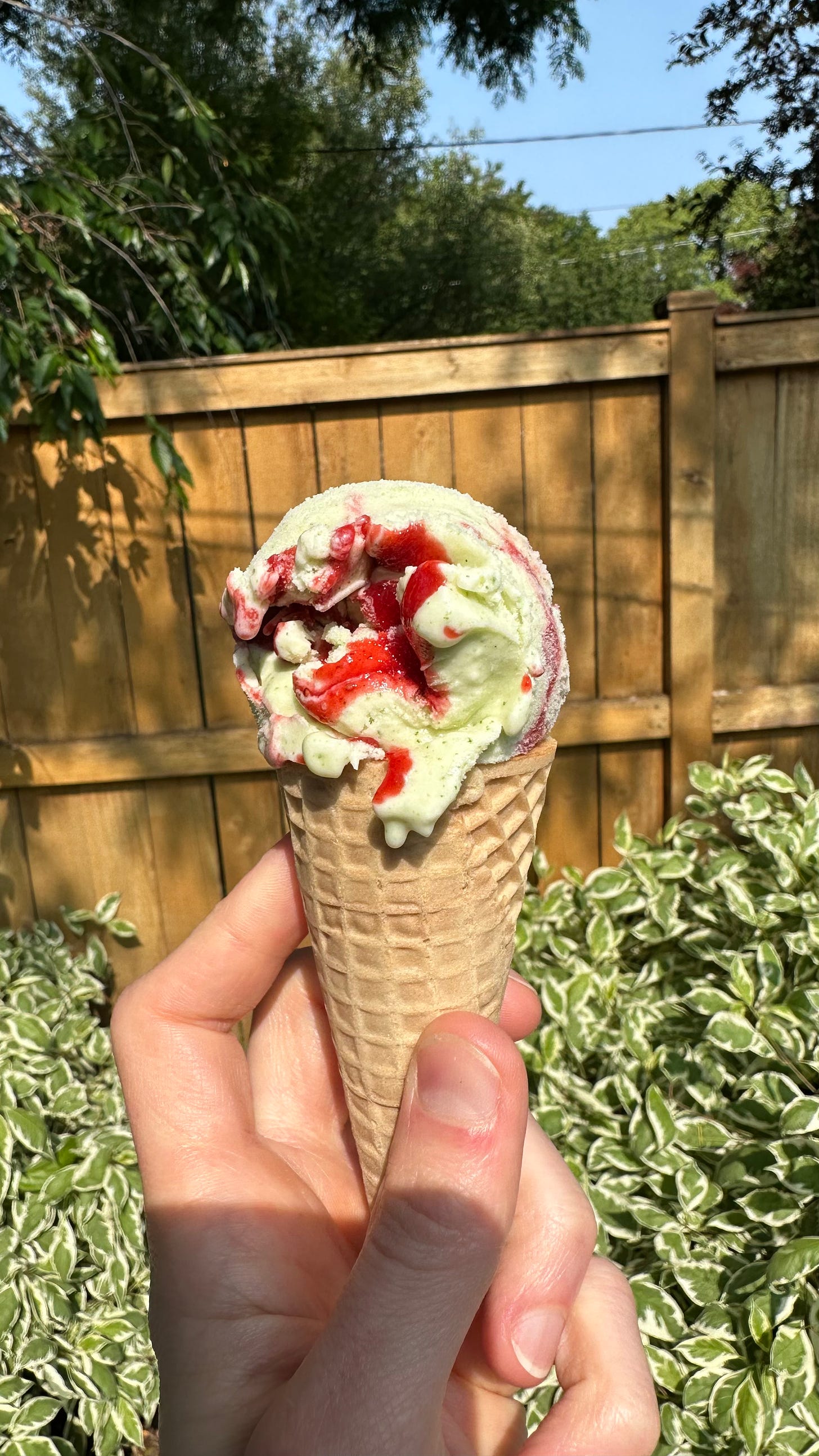 Hand holding an ice cream cone with Strawberry Tarragon Ice Cream