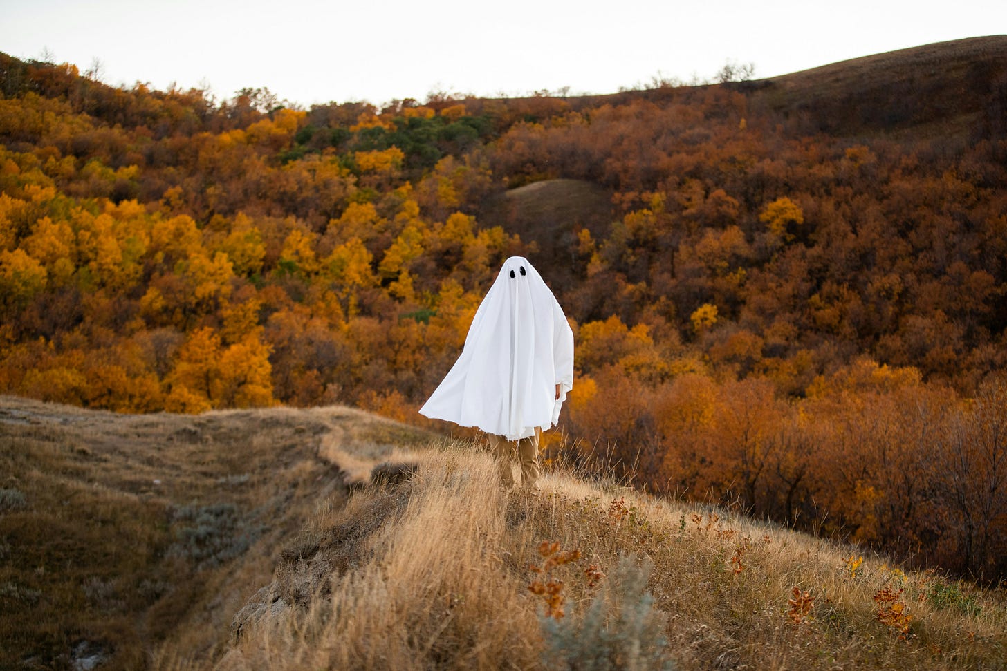 person wearing a sheet, dressed as a ghost, against a field in fall. Pretty colors, the sun is out, theyre clearly enjoying themselves.