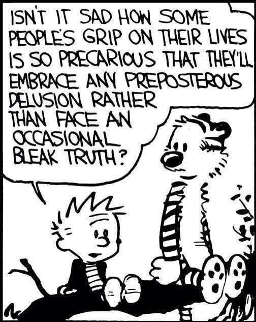 Calvin hitting us with some hard truths : r/calvinandhobbes