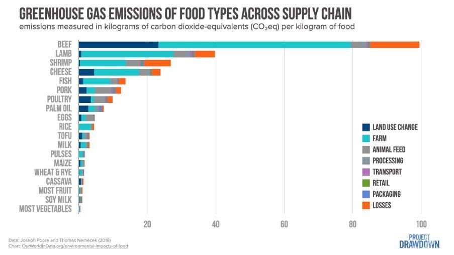 A chart showing greenhouse gas emissions by food source