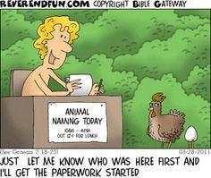 Funny Bible Cartoons