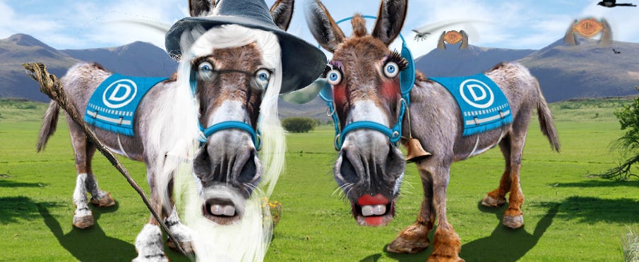 BerndalfandHillarydonkeys