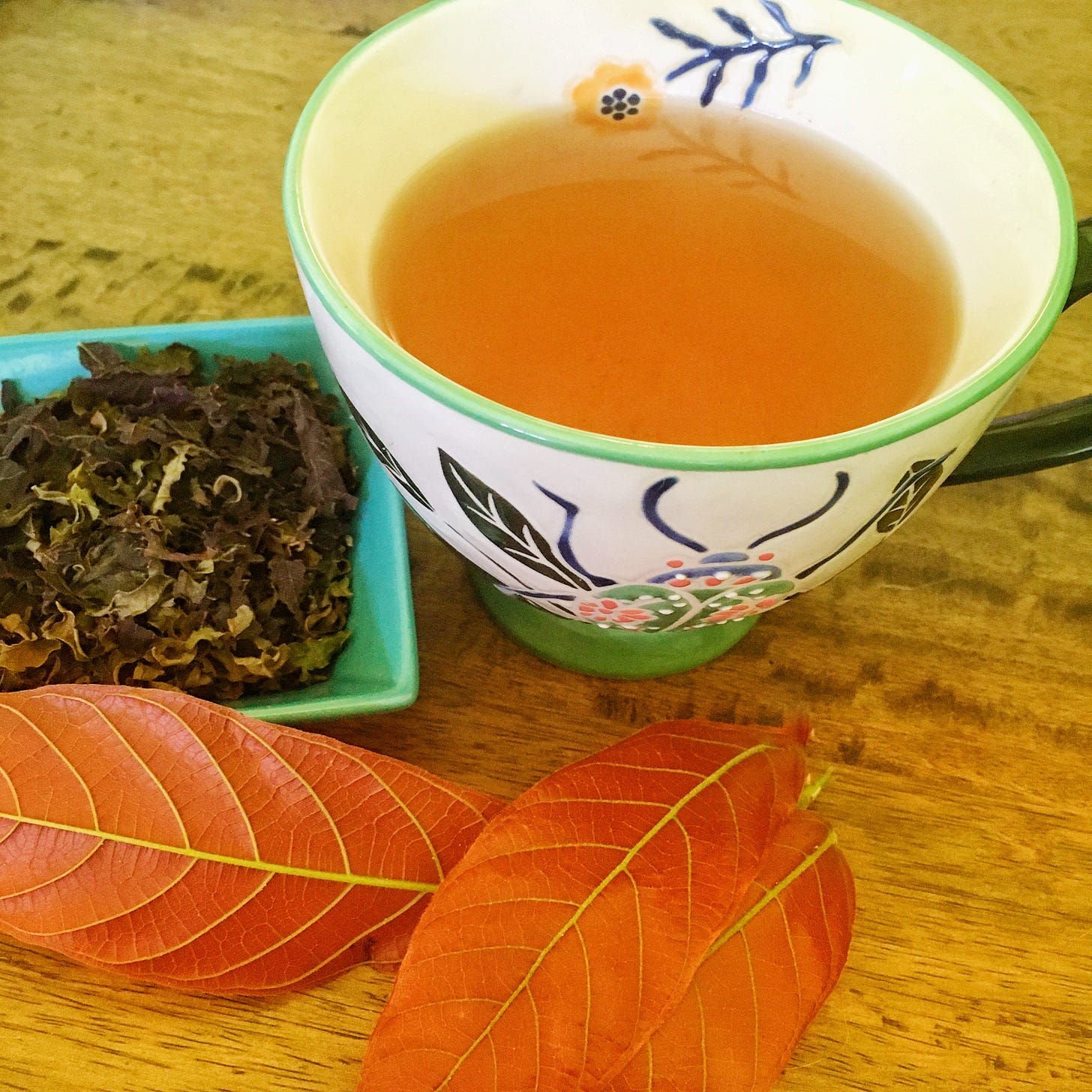 Cacao leaf tea brewed in cup and cacao leaves