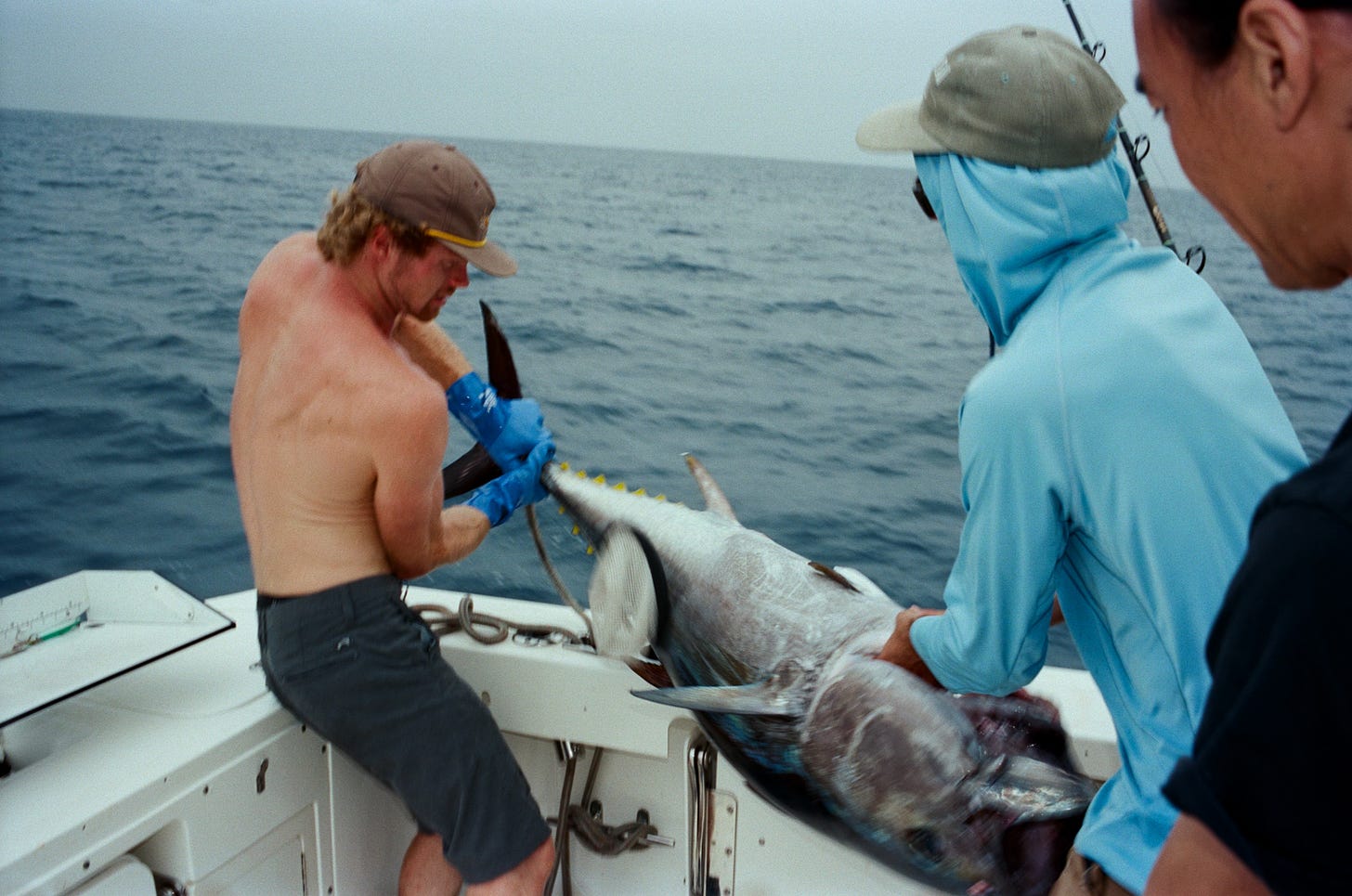 Getting the tuna onto the boat