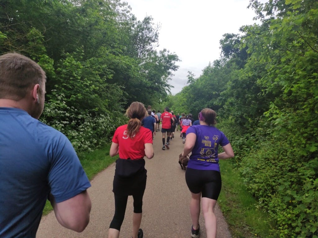 Runners in motion down a path bordered by verdant bushes.