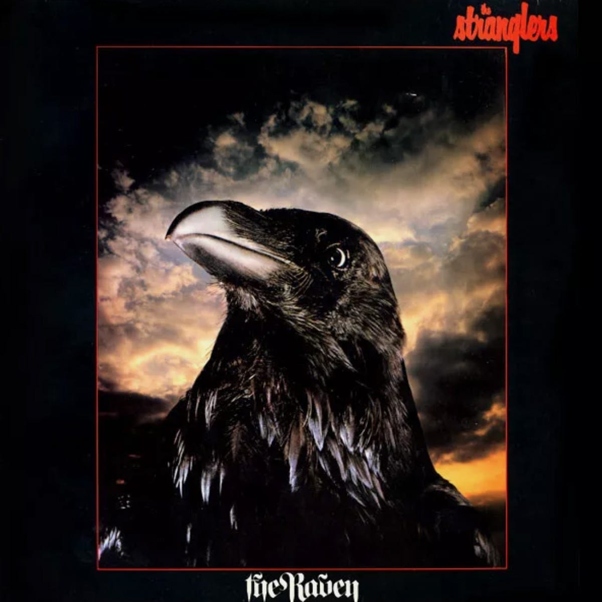 The LP cover for The Raven. It is mostly a large photo of a raven.