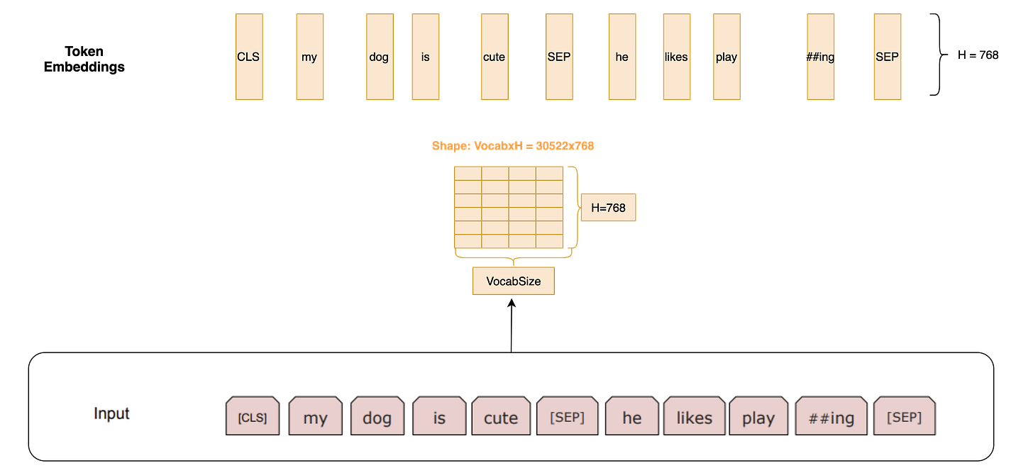 Author Image: Token Embeddings come by indexing a matrix of size VocabxH