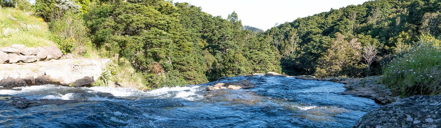 Whangarei Waterfalls - the river disappearing over a rocky edge, towards forested slopes forming a V shape in the background.