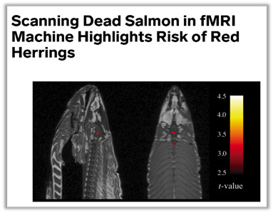 Screenshot of the headline of an article, with a picture below showing an fMRI scan of a fish with red dots indicating significant "brain" activity. Article title is "Scanning Dead Salmon in fMRI Machine Highlights Risk of Red Herrings."