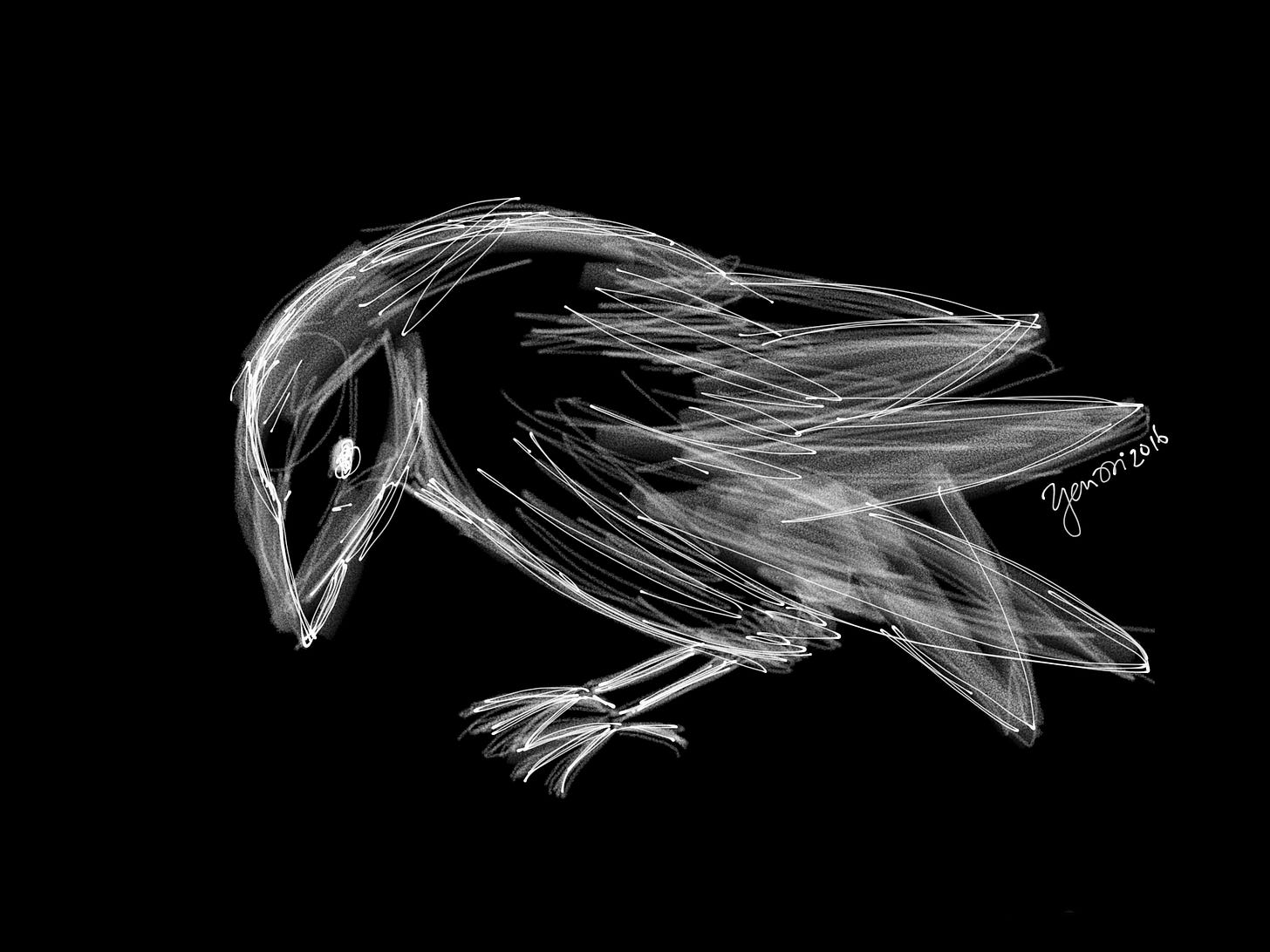 A picture of a crow drawn in white ink against a black background