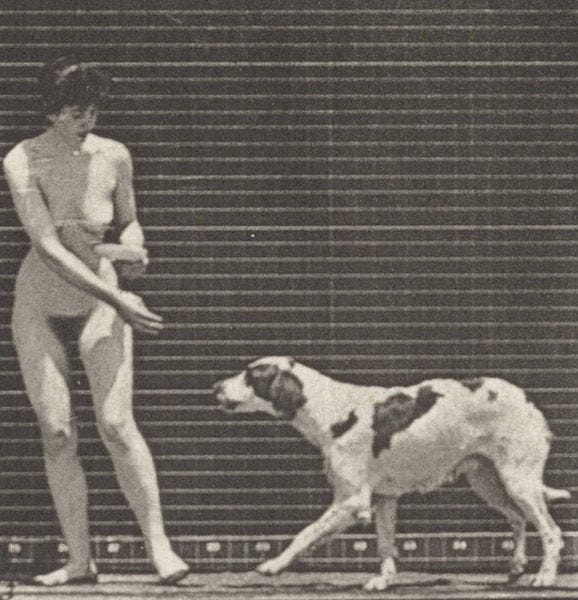 File:Nude woman feeding a dog (rbm-QP301M8-1887-514a~3).jpg
