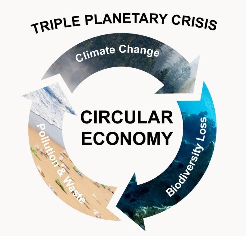 Fleur Baker on LinkedIn: If we are to address the triple threats of  climate, biodiversity loss and…