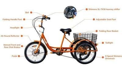 Orange Neuron tricycle model