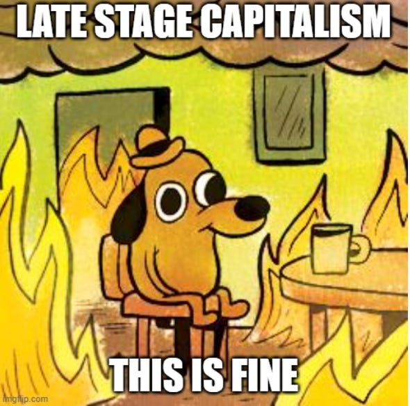 Cartoon of dog sitting at table in room that's burning around them with caption "late stage capitalism this is fine"