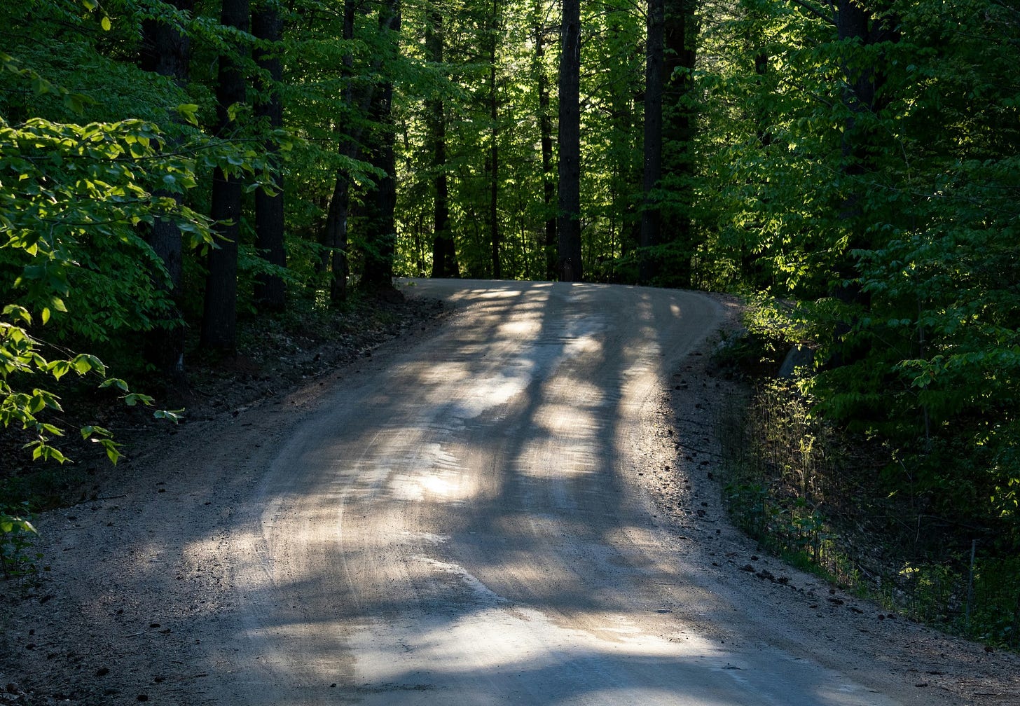 Winding road through trees