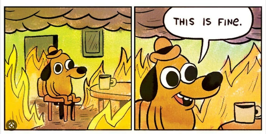 meme of the dog sitting inside the burning house with the “this is fine” speech bubble. KC Green, "On Fire."
