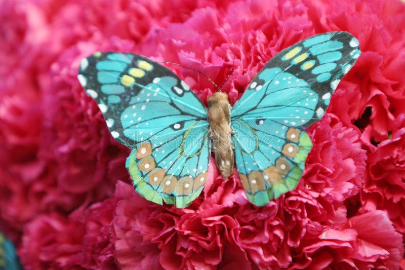 224,027 Beautiful Butterfly Stock Photos - Free & Royalty-Free Stock Photos  from Dreamstime