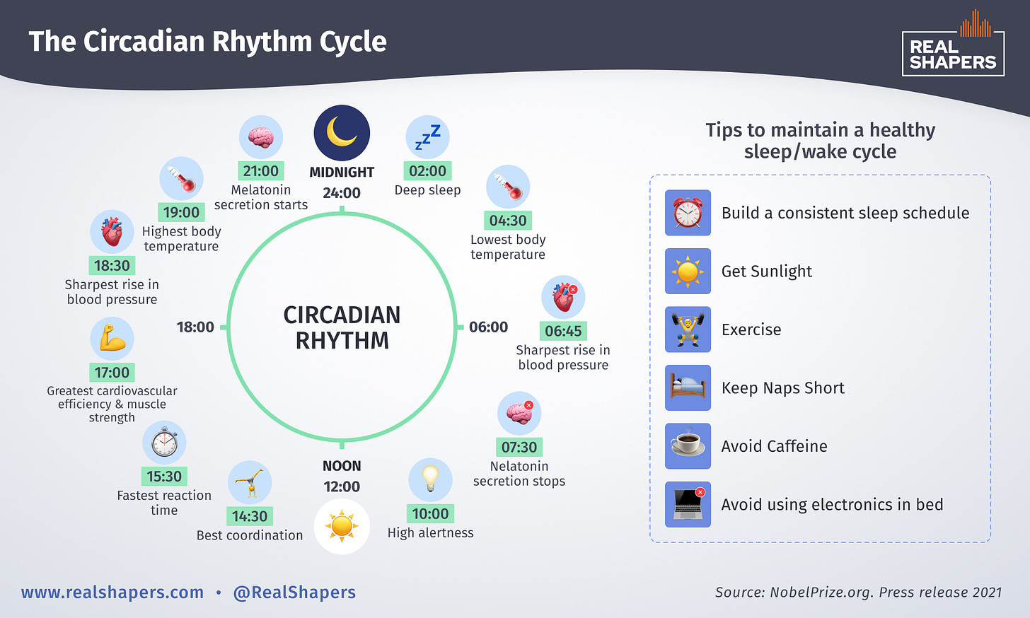 The Circadian Rhythm and Tips to maintain a healthy sleep/wake cycle - Real Shapers