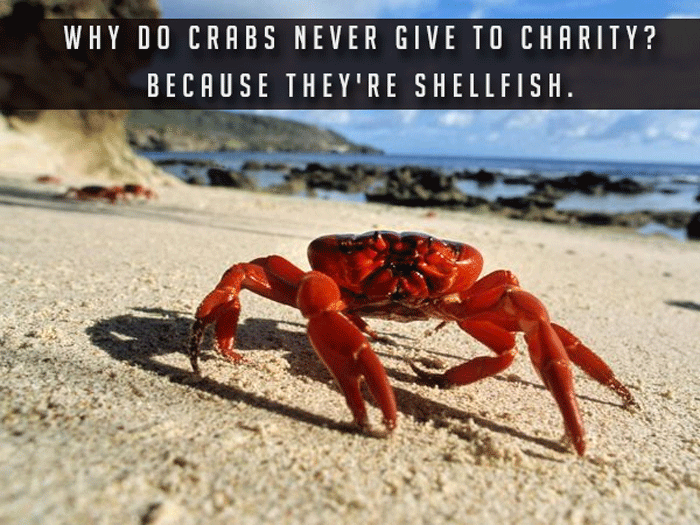 The Best Dad Jokes That Are So Bad They're Hilarious