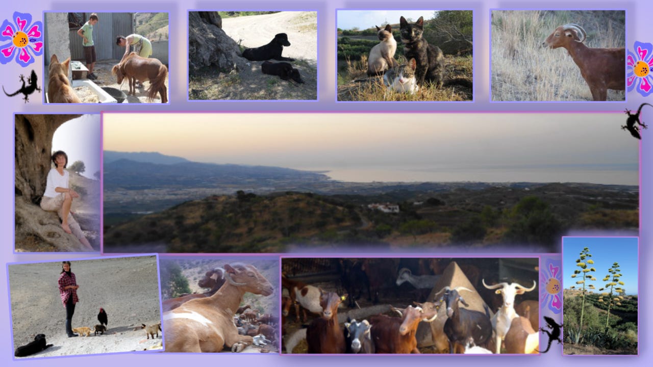 Okeko Photo Collage “On a Hill Near Velez-Malaga”