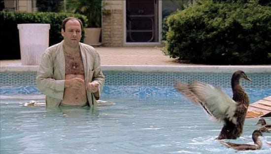 Exploring The Sopranos: Tony's Ducks | Pixels In The Myst