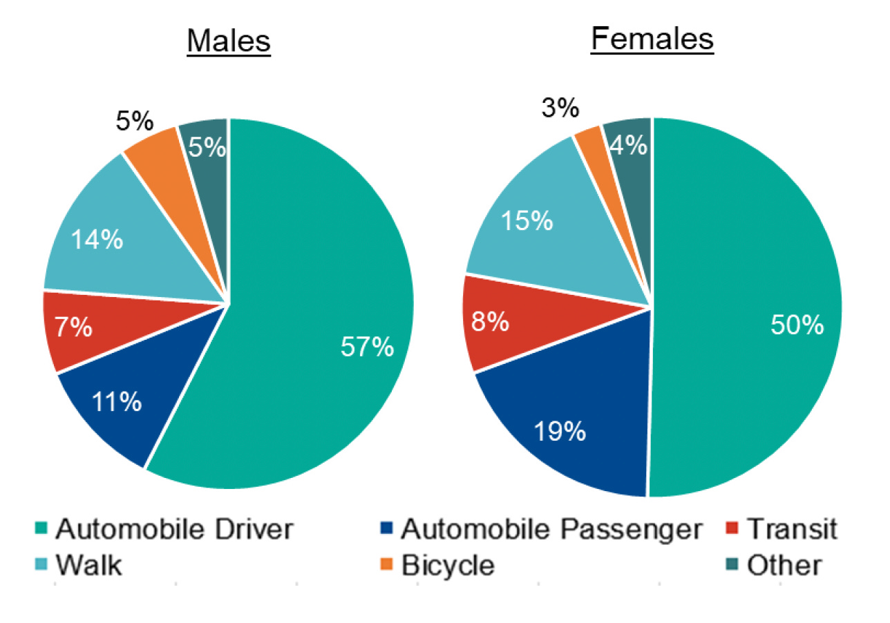 Daily Mode Share by Gender