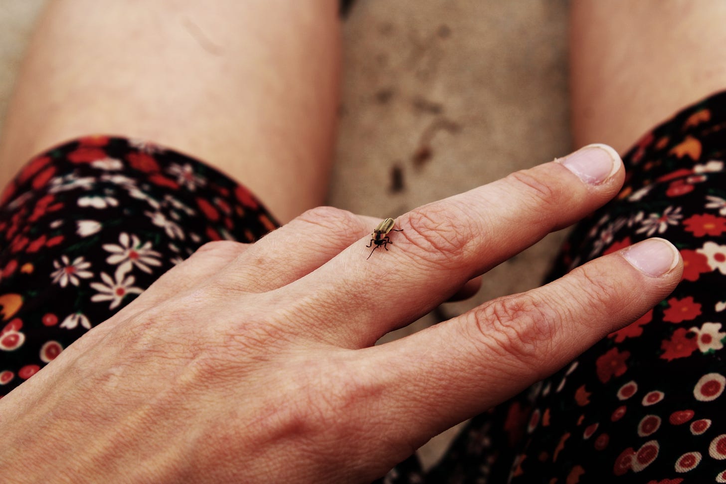 A lightning bug rests on a hand with two stretched straight fingers. In the background you can see the slightly out of focus edges of a floral-patterned dress and the person's legs.