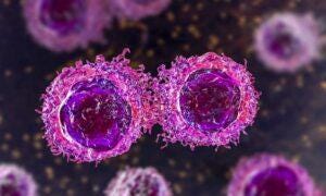 Treatment Versus No Treatment of Localized Prostate Cancer Had Similar Results Over 15 Years, 1 Question Raised