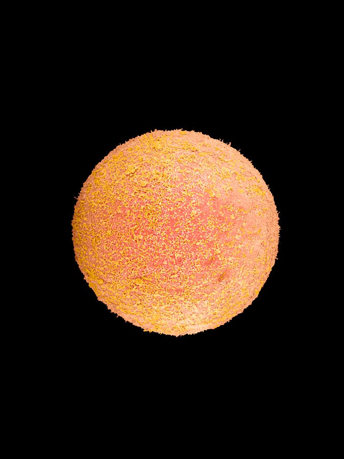 Round Shape Photograph - Coloured Sem Of A Fertilized Human Egg (zygote) by Dr Yorgos Nikas