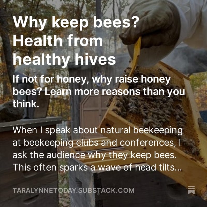 reasons to keep bees